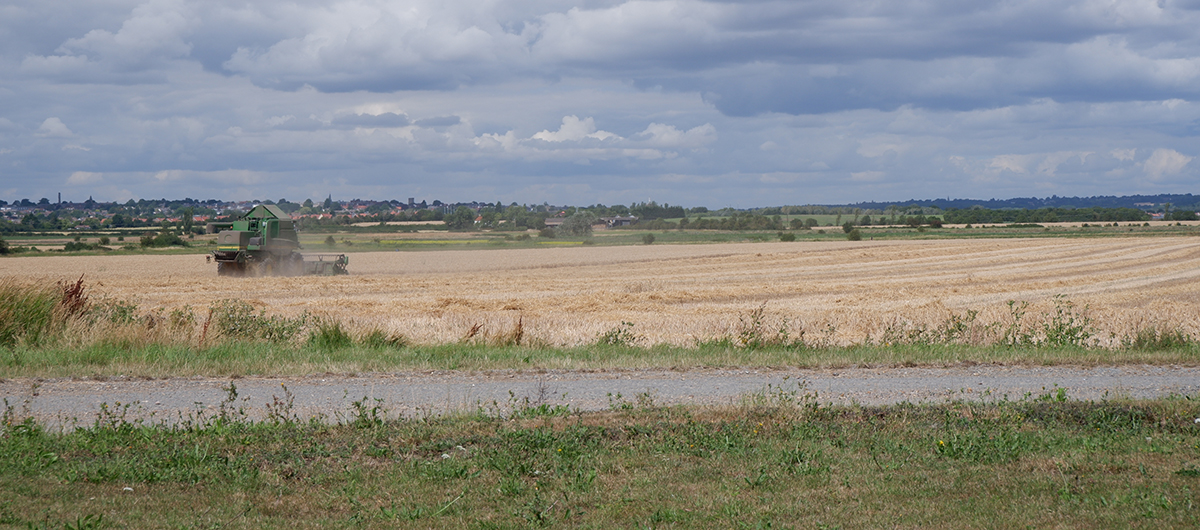 Tractor in a field